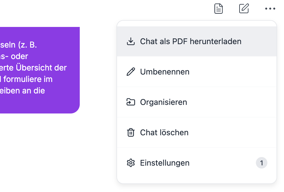 Chat Optionen.png