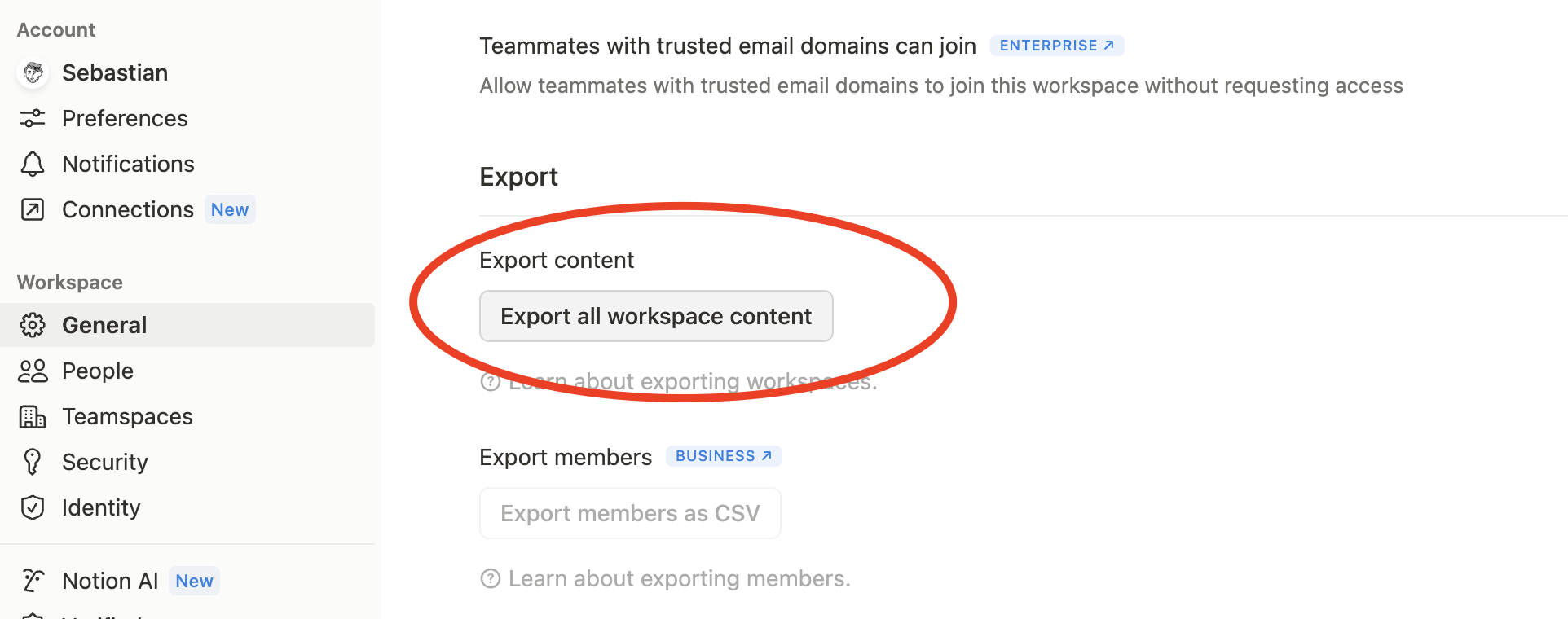 Notion Importer